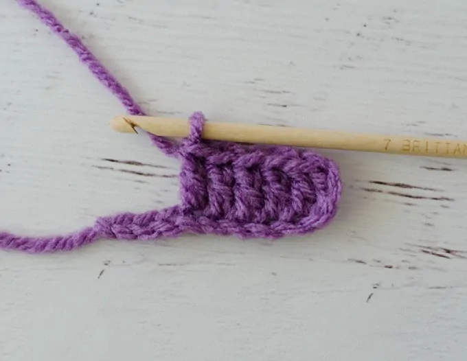 Purple strip of double crochet stitches