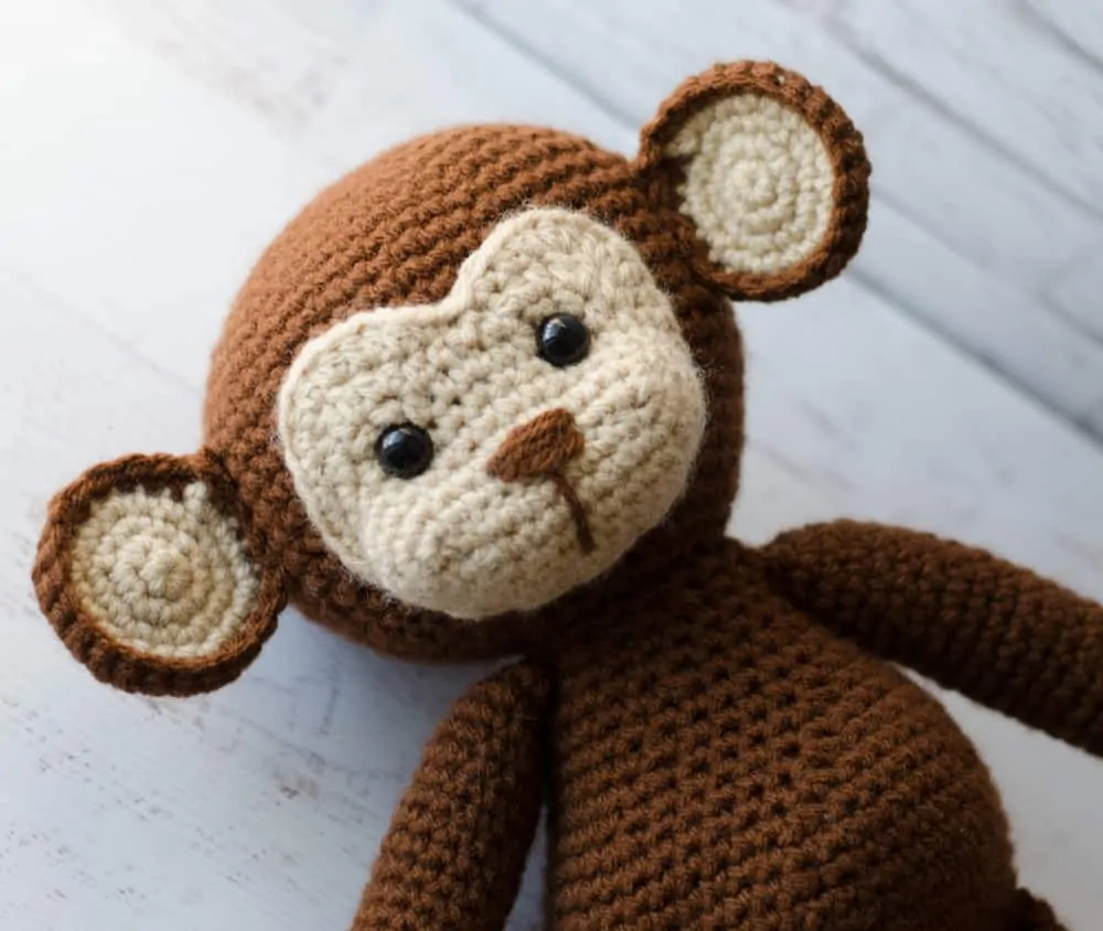Meet Michael the Monkey