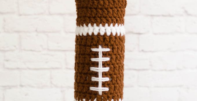 Football Wine Cozy