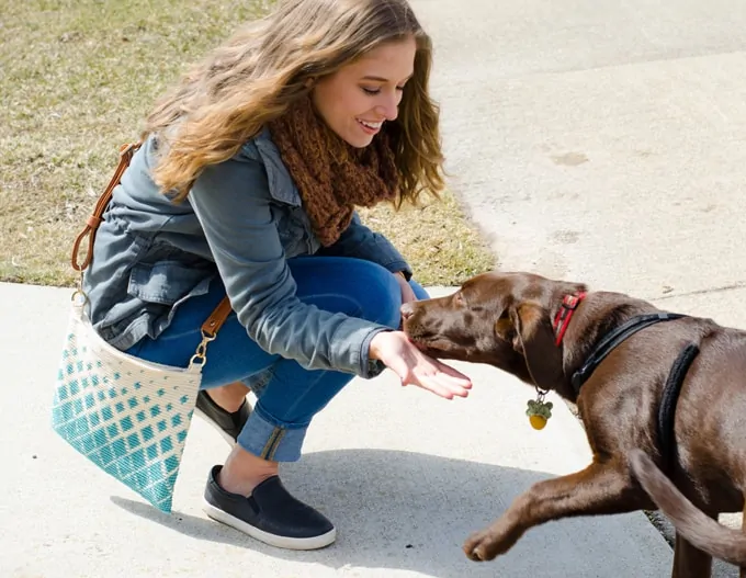 Girl with crochet tapestry bag petting brown dog