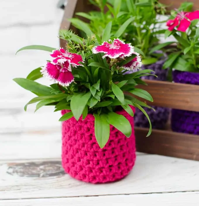 Crochet Flower Pot