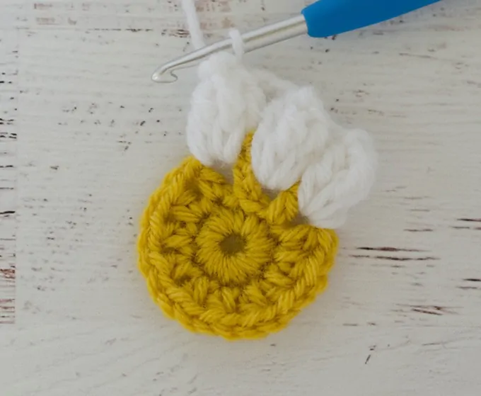 Crochet Puff Daisy Square