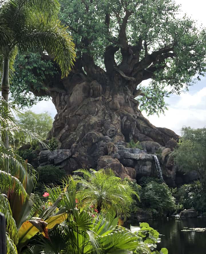 Tree of Life Disney Animal Kingdom
