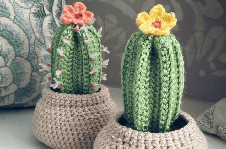 two crochet cactuses