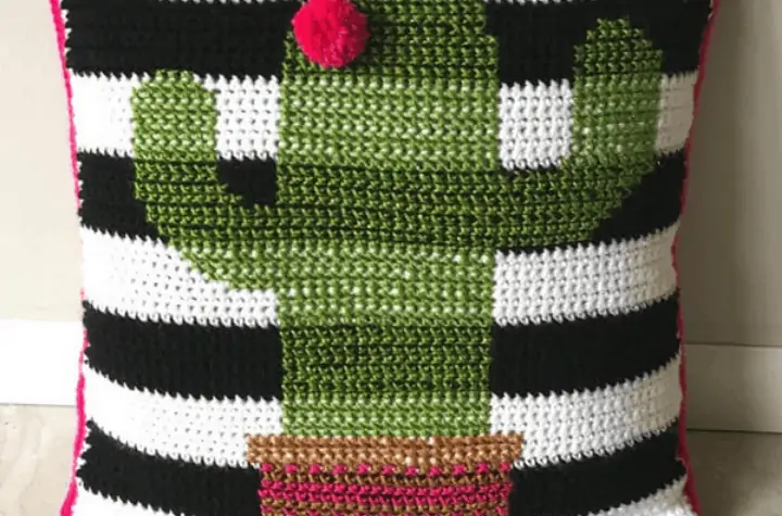 crochet cactus pillow