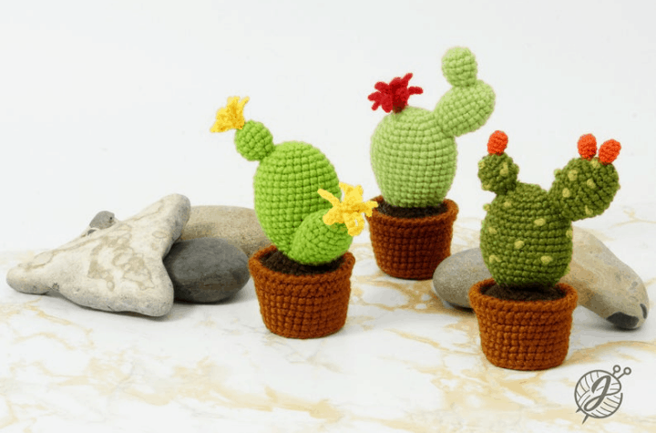 three crochet cactuses