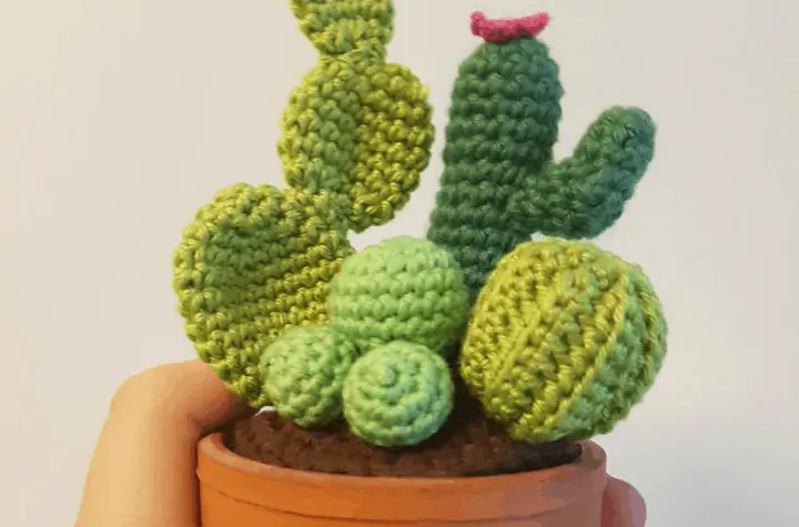 crochet cactus