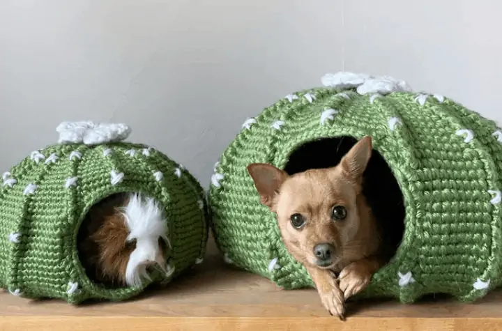 two crochet cactus dog beds