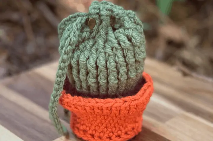 crochet cactus pouch bag