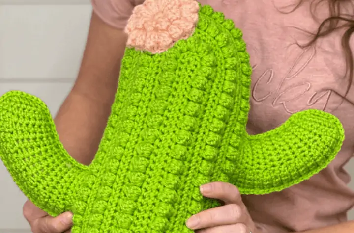 crochet stuffed cactus