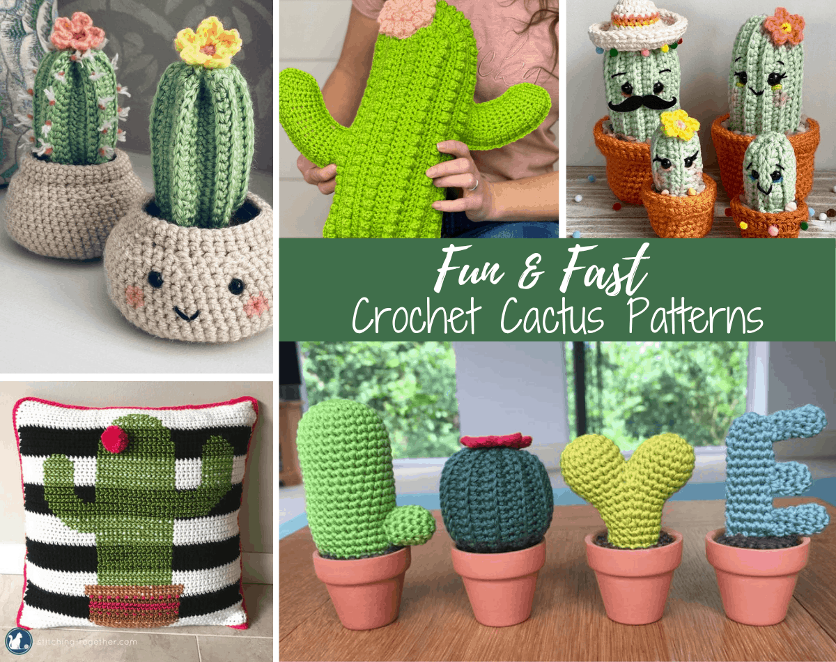 Charming Crochet Cactus to Brighten Your Day