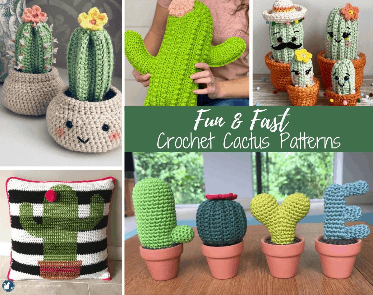 Cactus Crochet Can Cozy