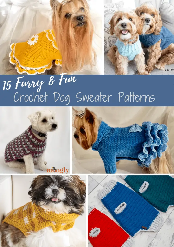A Pinterest image with six different crochet dog sweater patterns, including a yokie wearing a yellow sweater dress, two little brown dogs wearing a light blue and dark blue sweatr, a little white dog wearing a sweater with rows of dark purple, light purple, and grey, a little yorkie with a dark blue sweater dress, a shiz zu with a yellow plaid sweater, and three crochet sweaters in different sizes, one red, one blue, and one green.
