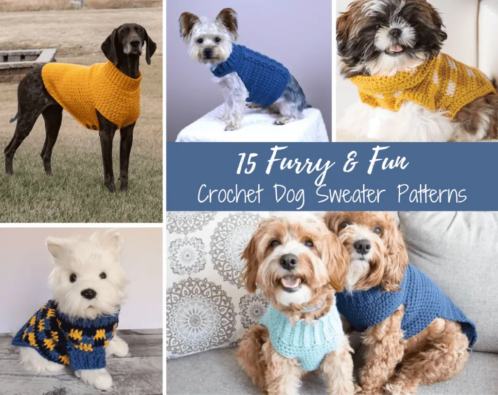 Five crochet dog sweater pattern in a collage. This includes a large brown dog wearing a yellow weater, a yorkie wearing a blue sweater with cable stitches, a shiz zu wearing a yellow checkered sweater, a toy white dog wearing a blue and yellow checkered sweater, and two little brown dogs wearing a light blue and a dark blue sweater.