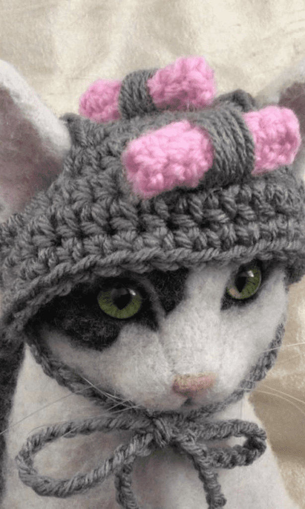 chat portant un chapeau de grand-mère avec des bigoudis