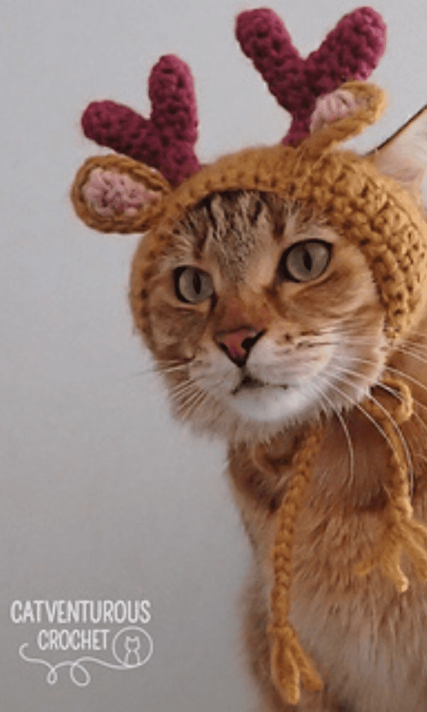 cat wearing reindeer hat