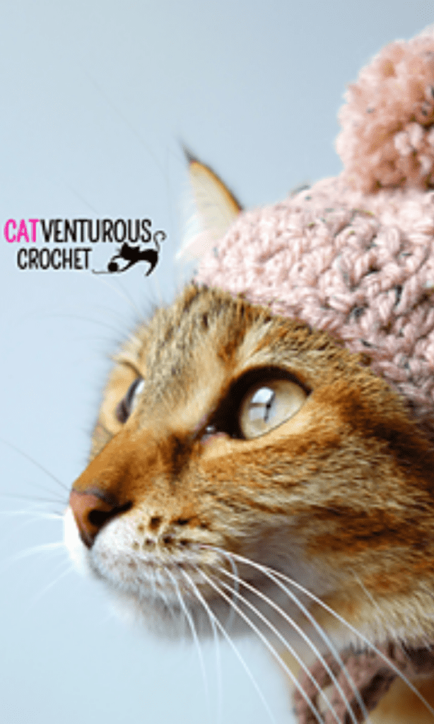 chat portant un bonnet avec pompon