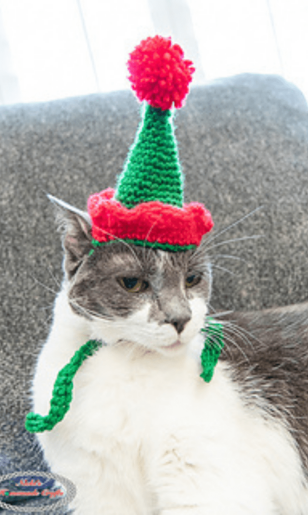 cat wearing red and green party hat with pom pom