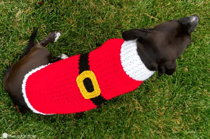 A crochet dog sweater that looks like Santa.