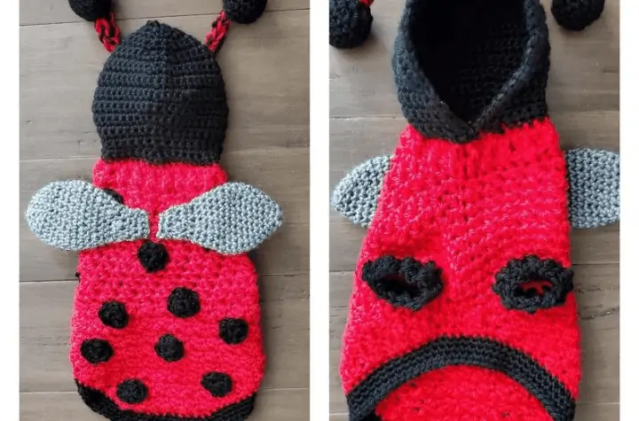 A crochet dog sweater that looks like a ladybug.