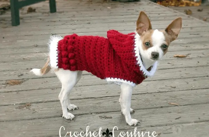 A chihuahua wearing a red sweater with a hood.