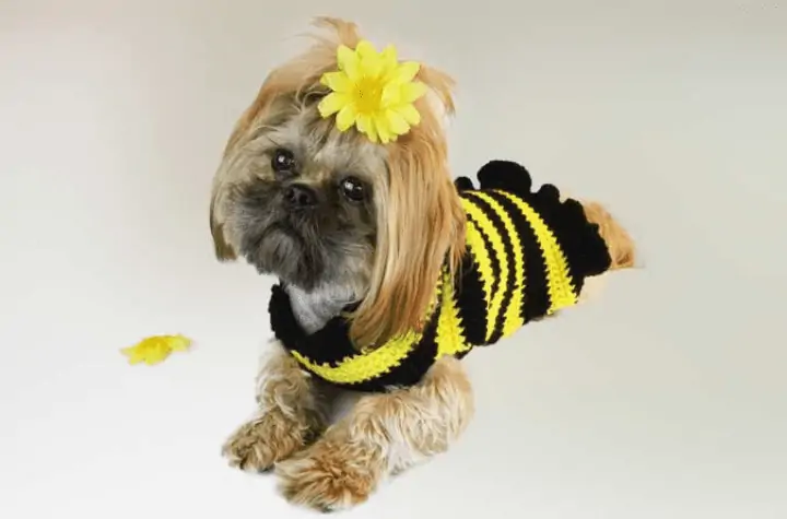 Crochet Pet Sweaters • Oombawka Design Crochet