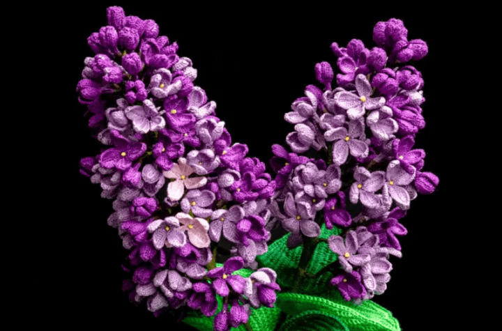 Plusieurs couleurs de lilas violets au crochet
