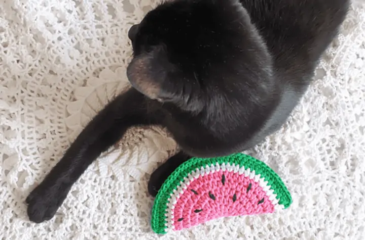 Crochet watermelon toy.