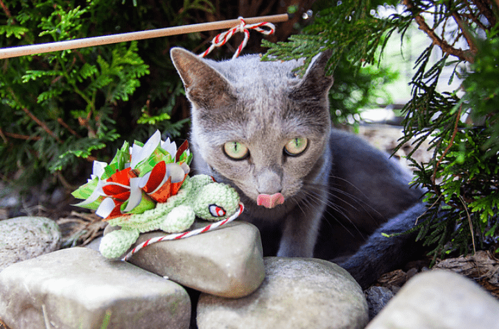 Tortue au crochet sur ficelle pour chat.