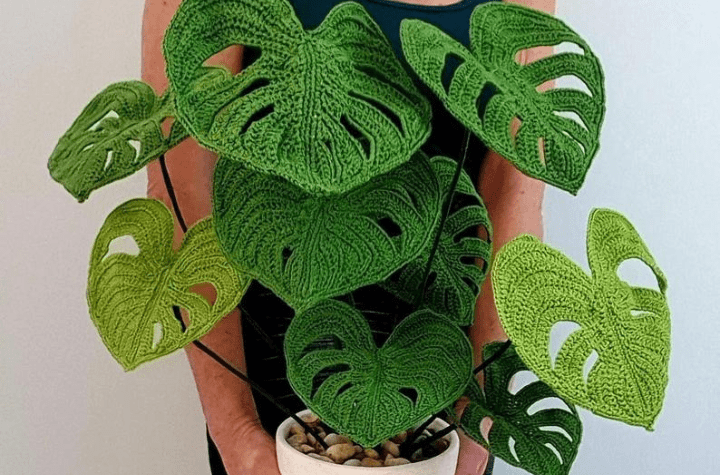 A 3D crochet monstera fake plant.