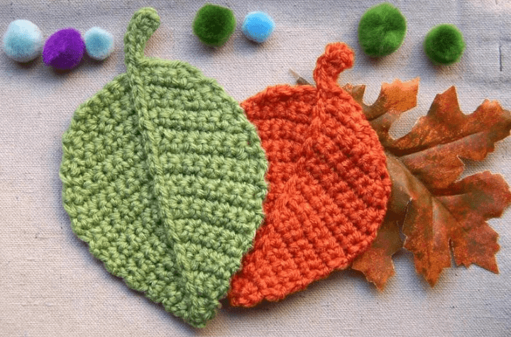 Two fall leaves, one green and one orange.