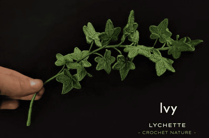 A branch of crochet Ivy.