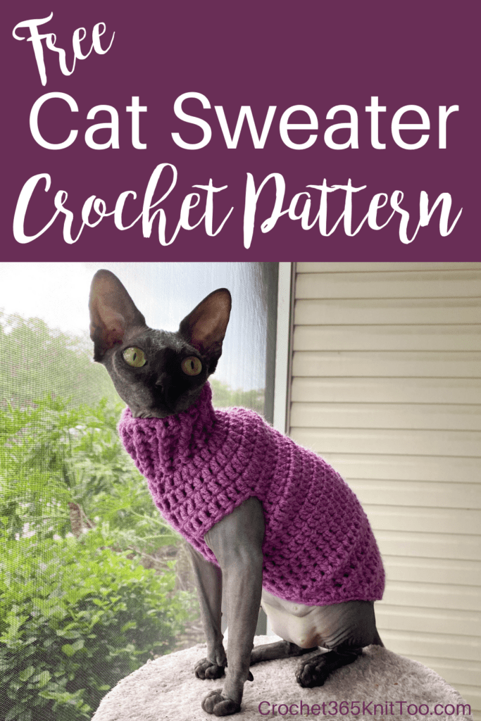 Gray cat in purple crochet sweater