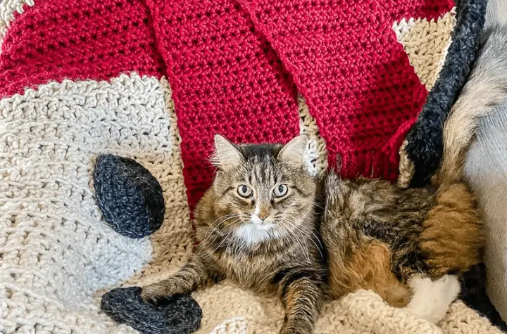 Crochet snowman throw blanket with a sitting on it.