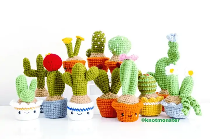 Twelve different mini cacti plants in pots.