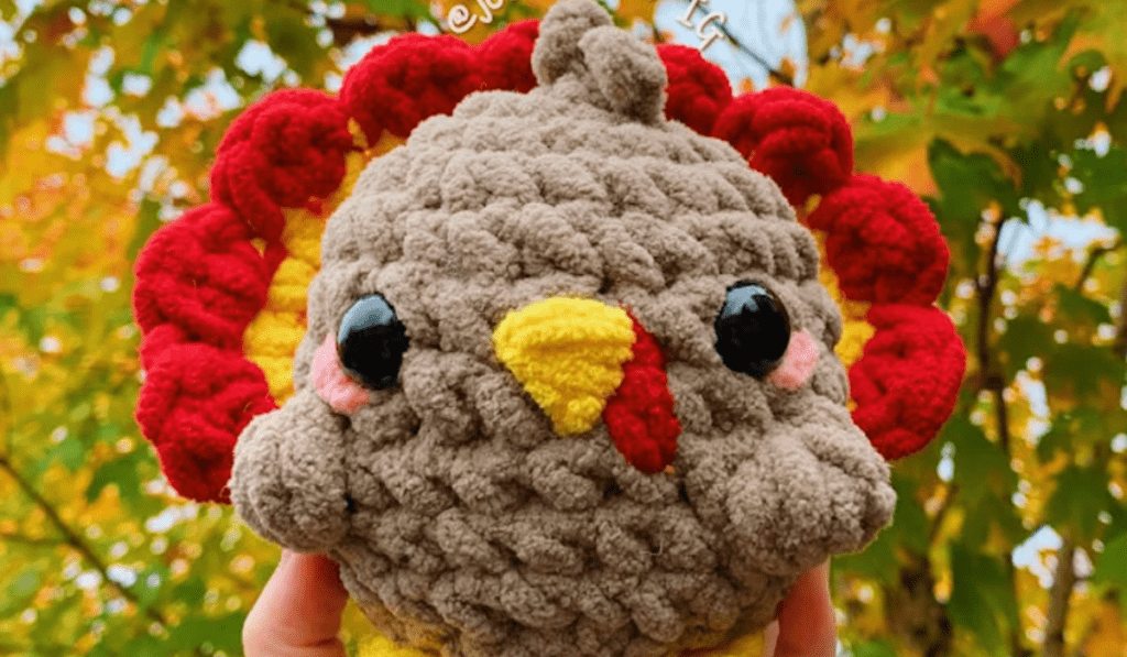 Circular crochet turkey with red and yellow yarn feathers.