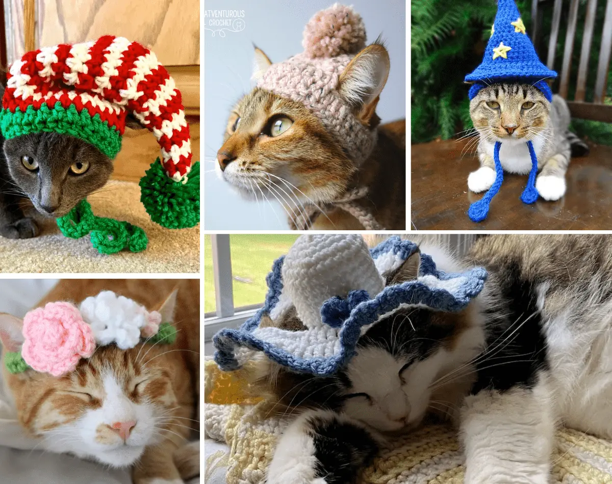 Free Crochet Patterns By Cats-Rockin-Crochet  Crochet hat size chart,  Crochet hat sizing, Crochet hats