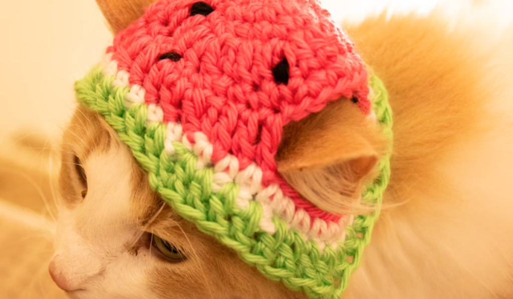 Pattern for Crochet Cat Hat Beanie Pattern Crochet Hat -  UK