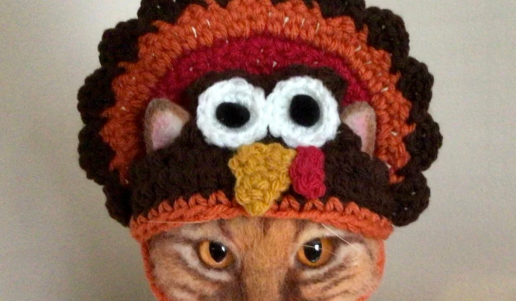 A cat wearing a crochet hat that looks like a turkey