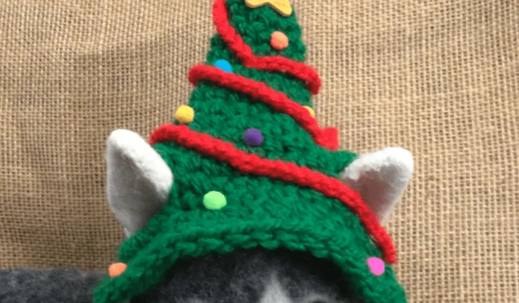 A cat wearing a crochet Christmas tree hat