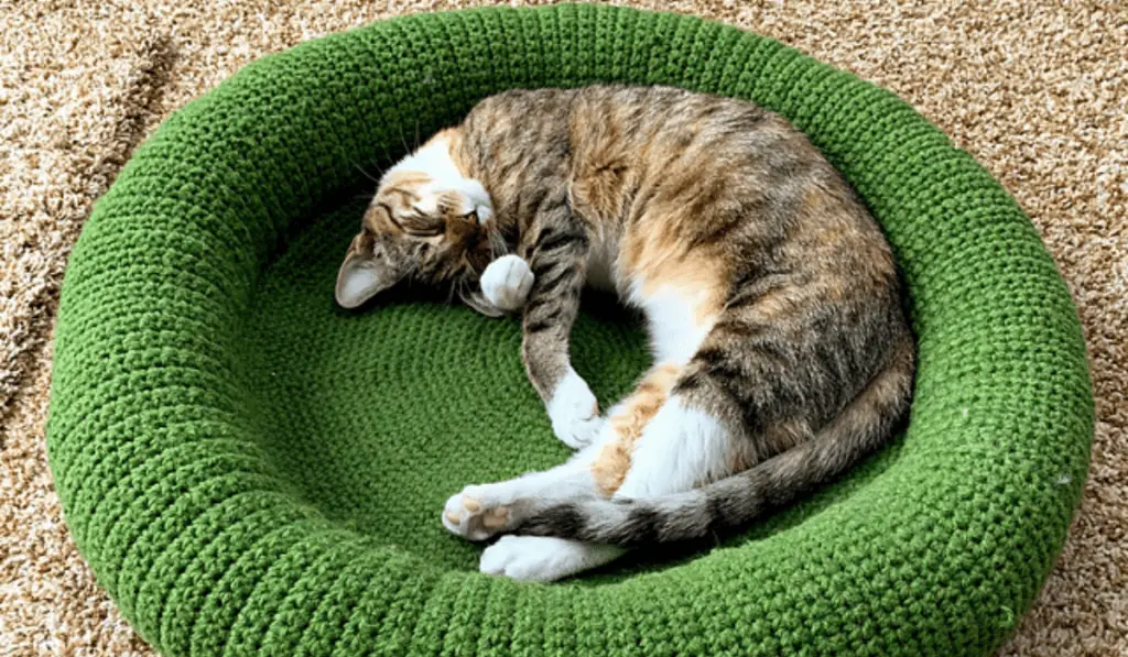 A green crochet bowl-like cat bed.