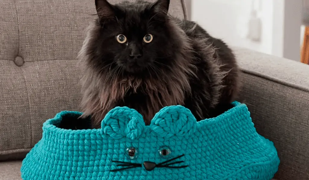 Blue crochet cat bed with kitten ears and a little cat face on the bed.