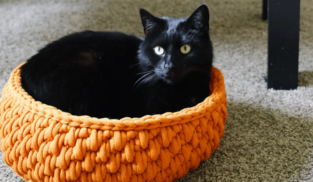 Orange crochet cat bed.