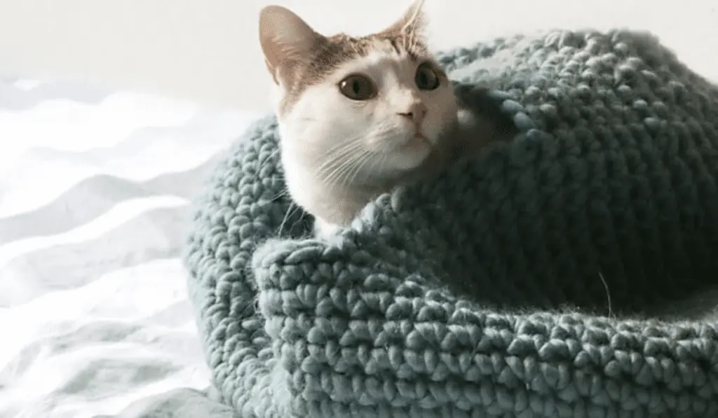 A blue crochet cat cocoon nest.