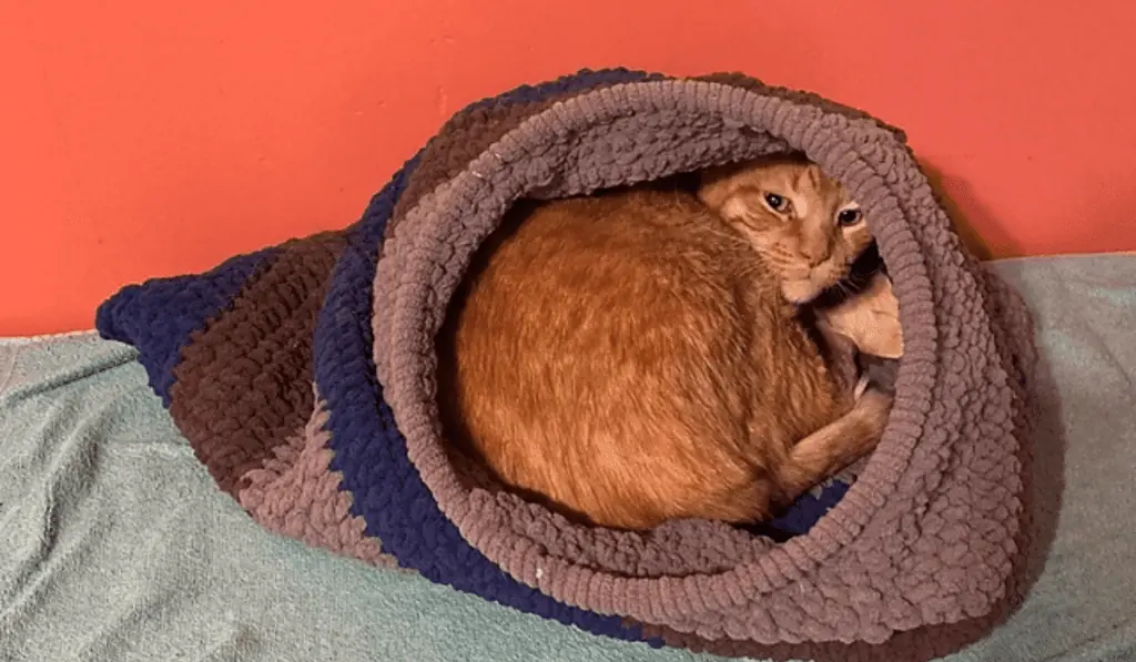 A crochet cat cocoon bed.