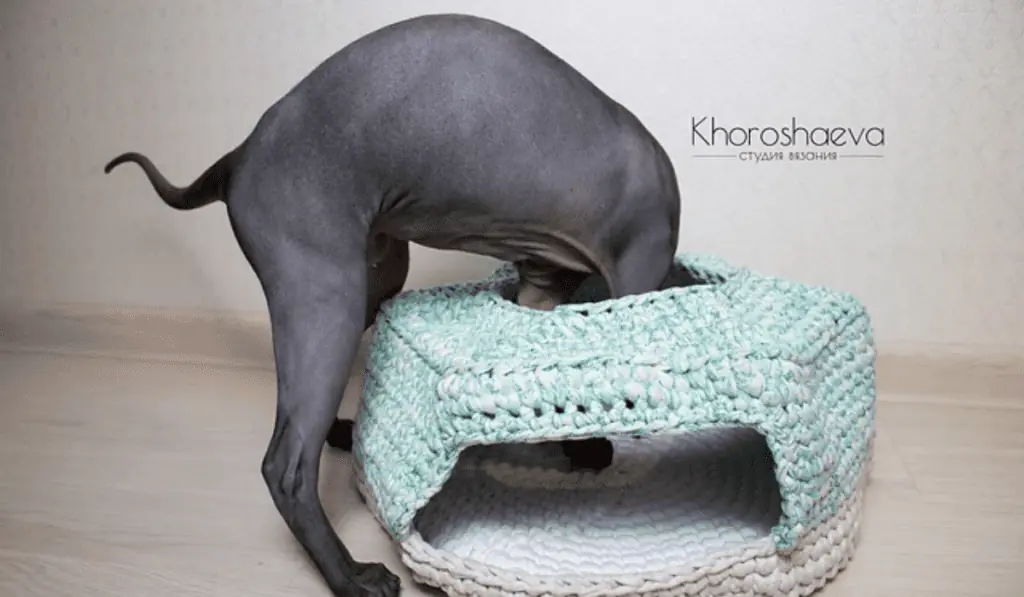 Blue crochet cat bed with a top entry and side entry.