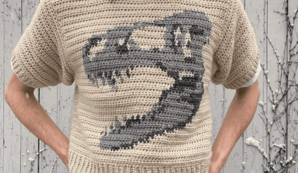 A t-rex crochet dinosaur shirt