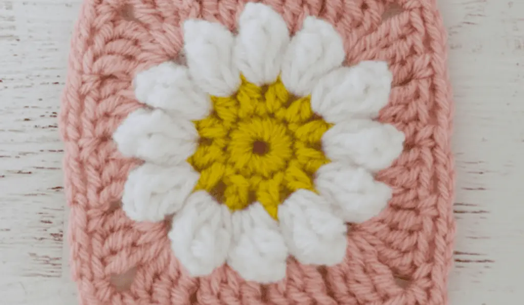 A daisy granny square with a pink border.