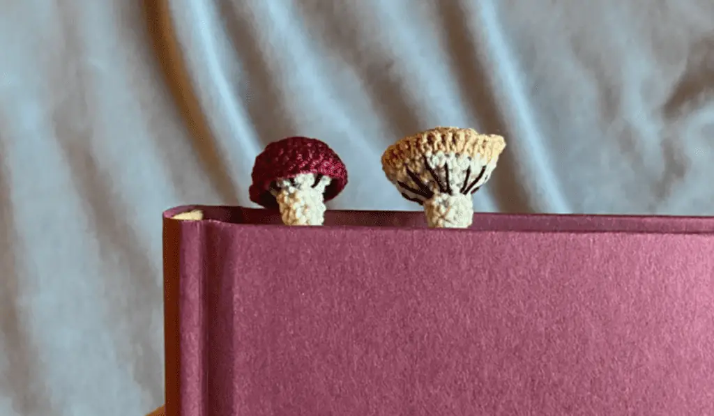 Two small crochet mushrooms