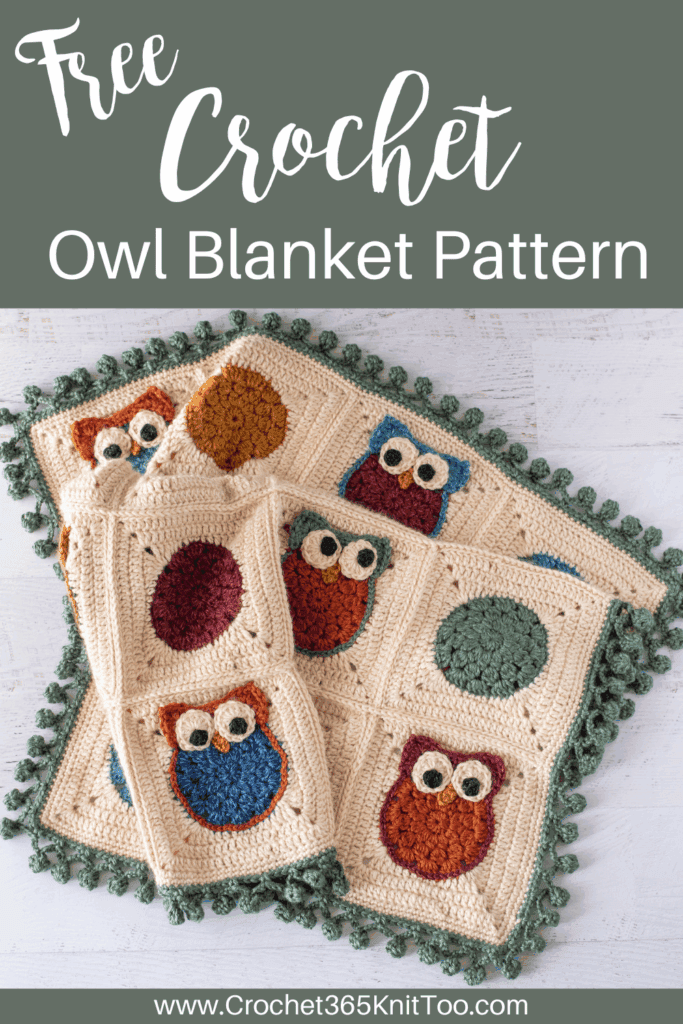 Graphic of the owl crochet afghan
